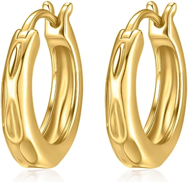 14K Gold Hoop Earrings for Women Trendy Gold Hoop Earrings Chunky Wome Earrings Noble Artwork