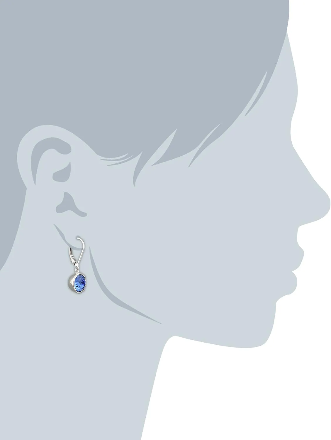 Amazon Collection Sterling Silver Bezel Set Round Crystal Lever Back Dangle Earrings