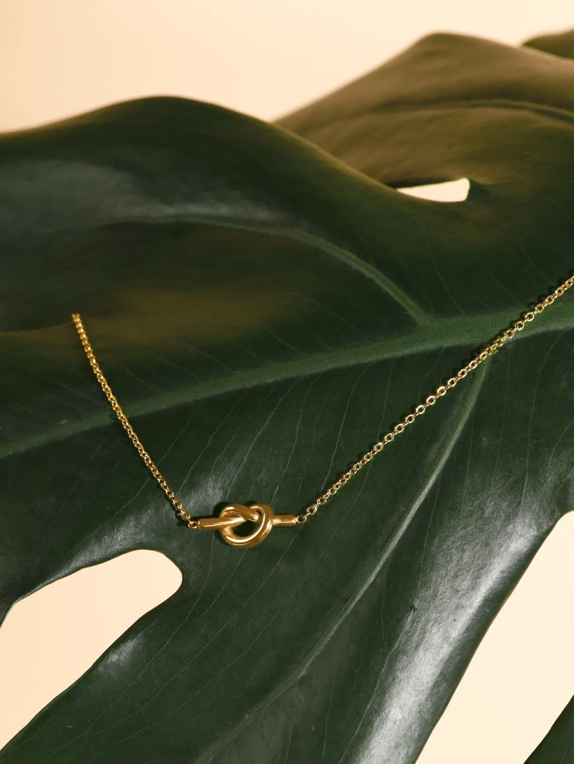 Aunt Necklace Gifts - Best Aunt Ever Jewelry Sentimental Gift