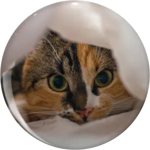 Cute Playful Cat Hiding Under The Sheets Lapel Pin Cute Brooch Pins Badges