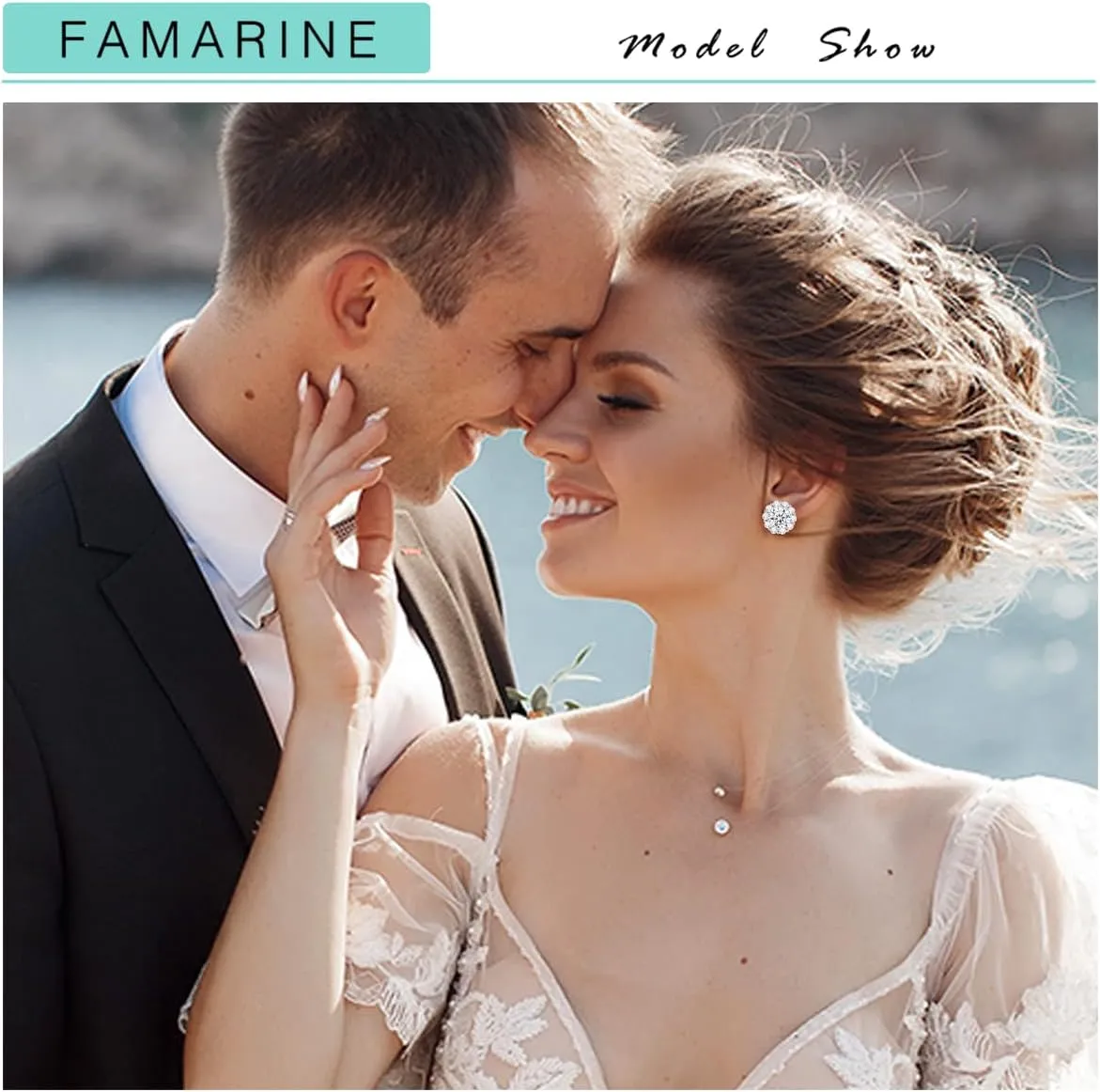 FAMARINE CZ Clip on Earrings for Women Clip Earring Non-pierced Earrings